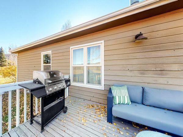 Snowmass Home 1019641
