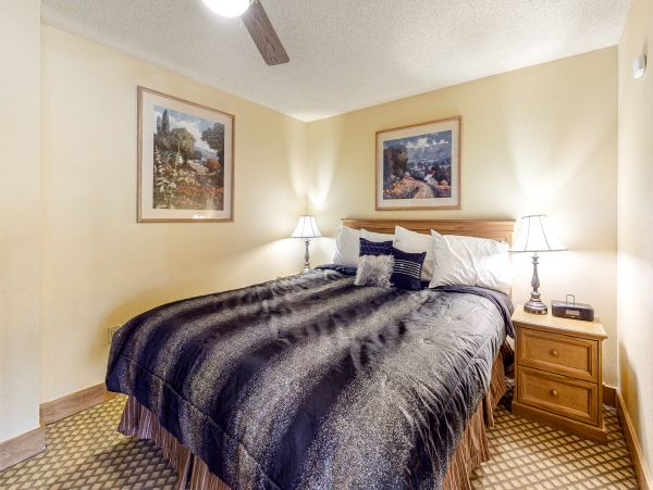 Snowmass Home 1019643