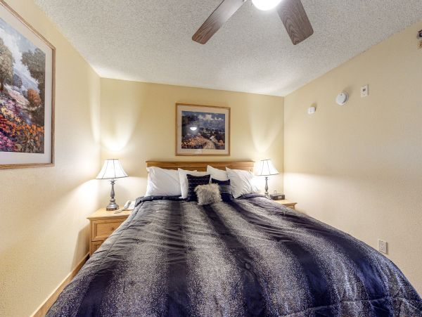 Snowmass Home 1019643