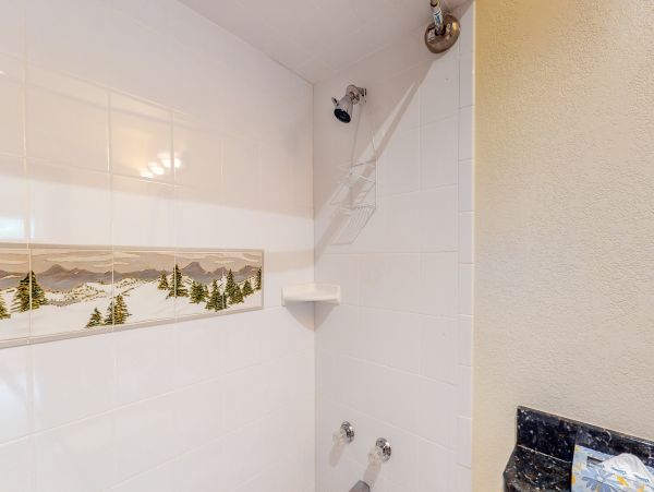 Snowmass Home 1019644