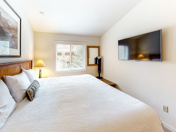 Snowmass Home 1019646