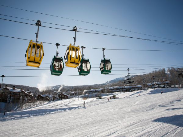 Snowmass Home 1019646