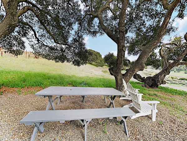 Sonoma County Home 1019648