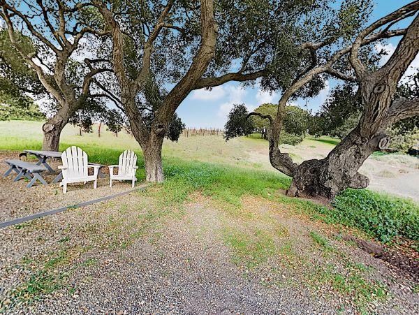 Sonoma County Home 1019648
