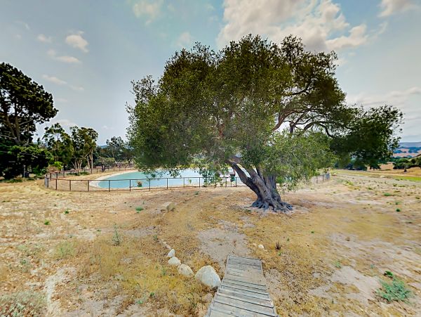 Sonoma County Home 1019650