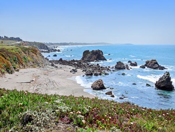 Sonoma County Home 1019651