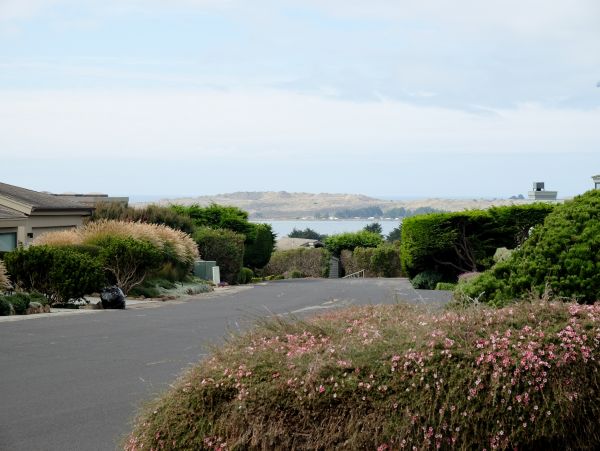 Sonoma County Home 1019663