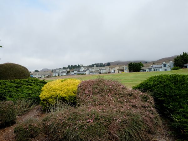 Sonoma County Home 1019663