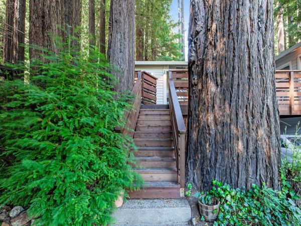 Sonoma County Home 1019677