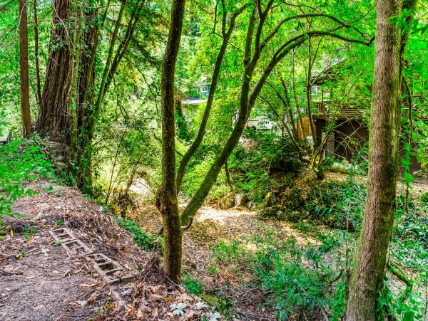 Sonoma County Home 1019678