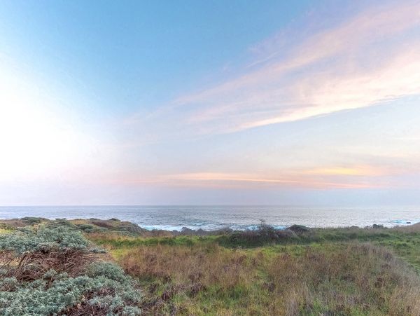 Sonoma County Home 1019690