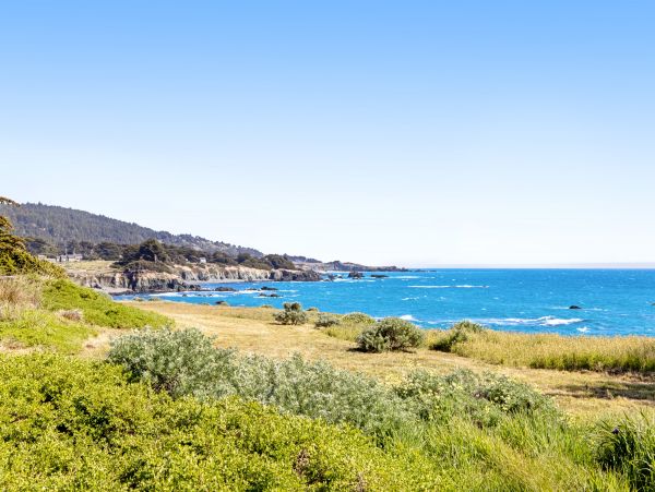 Sonoma County Home 1019702