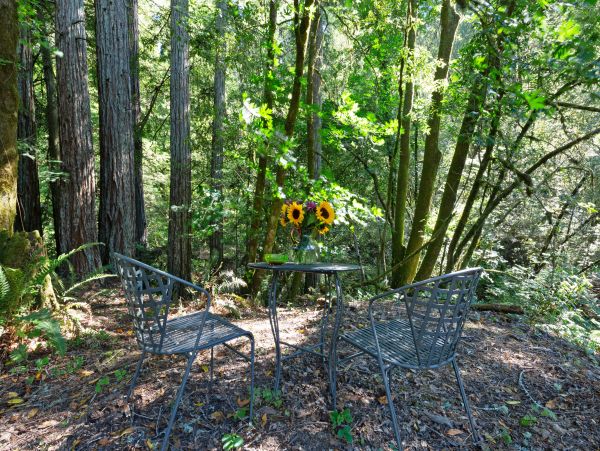 Sonoma County Home 1019718