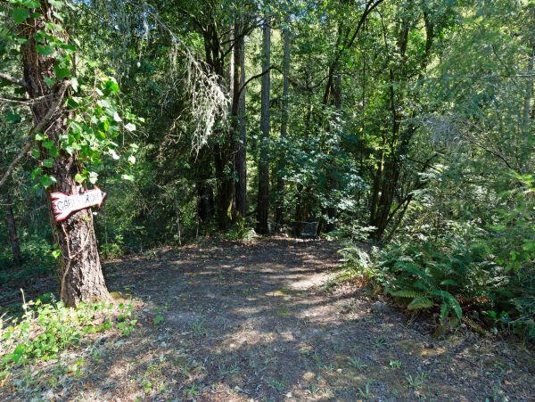 Sonoma County Home 1019718