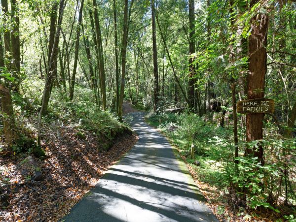 Sonoma County Home 1019718