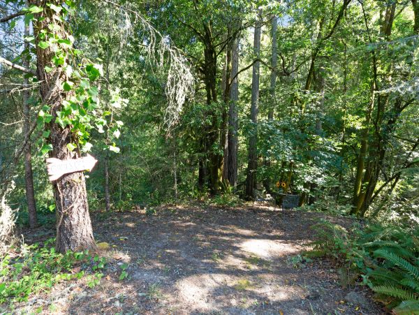 Sonoma County Home 1019718