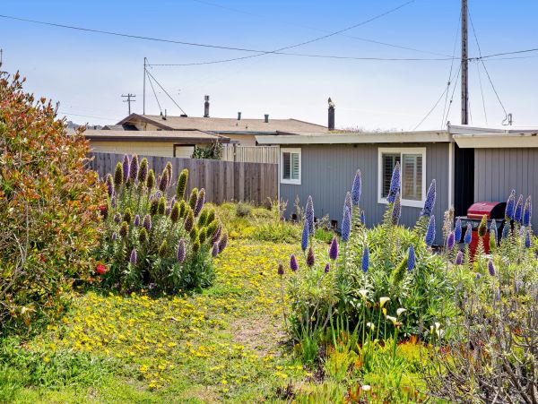 Sonoma County Home 1019724