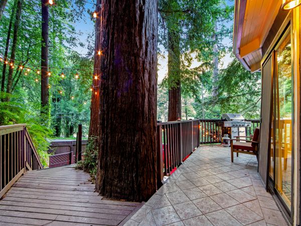 Sonoma County Home 1019725