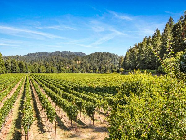 Sonoma County Home 1019736