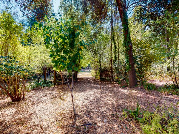 Sonoma County Home 1019744