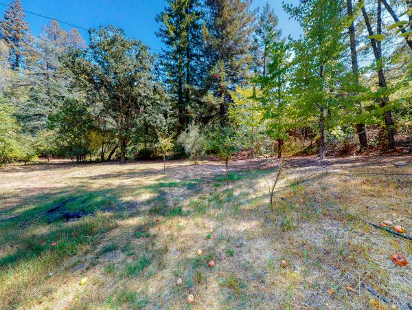 Sonoma County Home 1019744