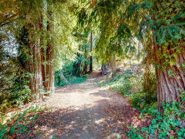 Sonoma County Home 1019744