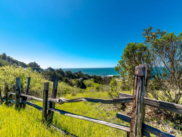 Sonoma County Home 1019748