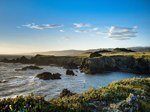 Sonoma County Home 1019748