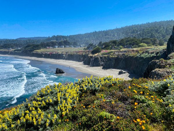 Sonoma County Home 1019748
