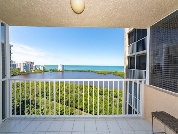 Naples Condo 1019811