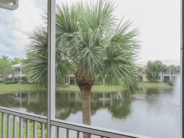 Naples Condo 1019812