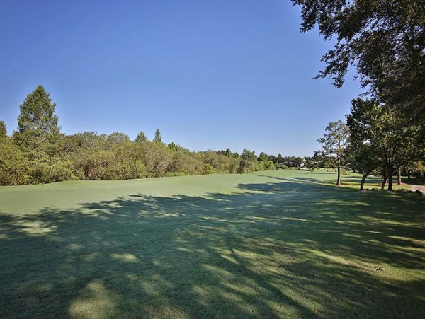 Naples Condo 1019815
