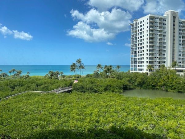 Naples Condo 1019823