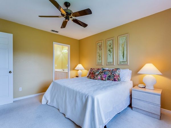 Naples Condo 1019824