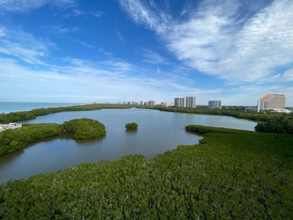 Lovely Naples Condo Views of The Gulf