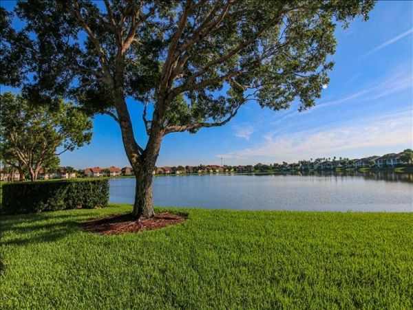 Naples Condo 1019835