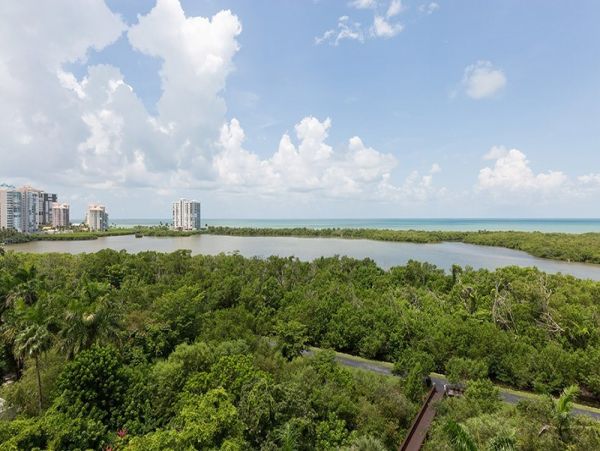 Naples Condo 1019838