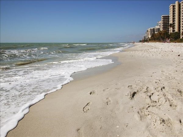Naples Condo 1019861