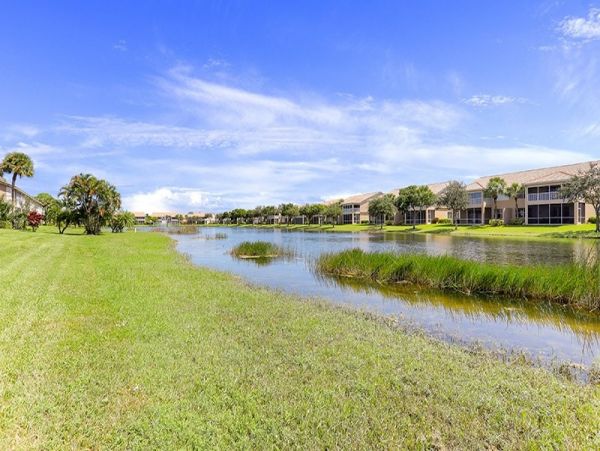 Naples Condo 1019867