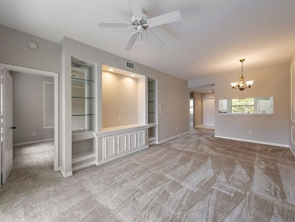 Naples Condo 1019885