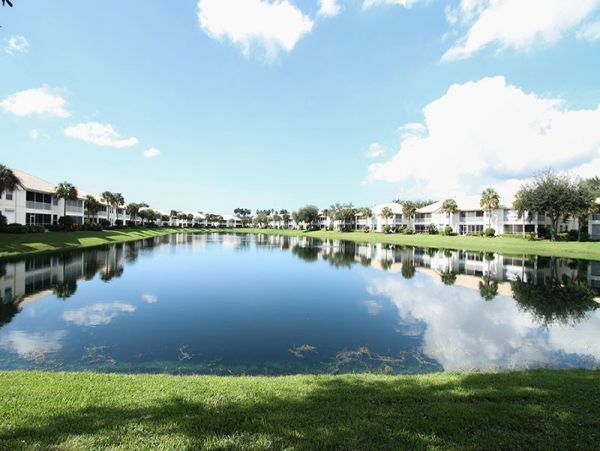 Naples Condo 1019887