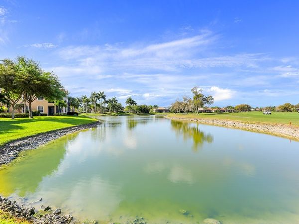 Naples Condo 1019895