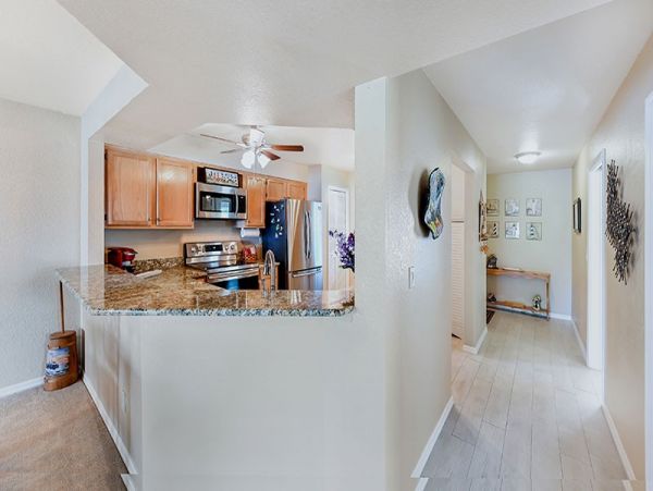 Naples Condo 1019896