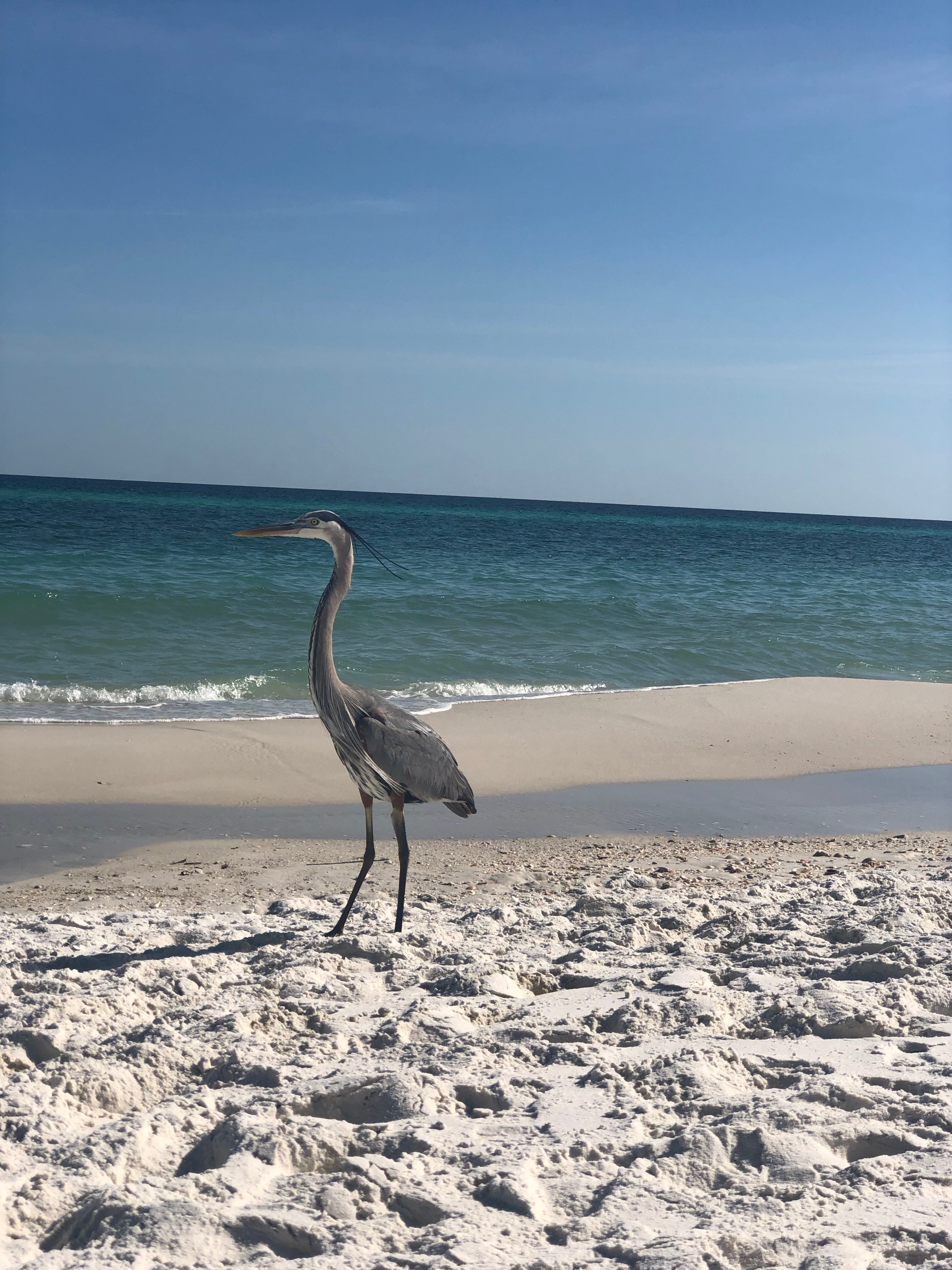 Navarre Beach Home 1020049
