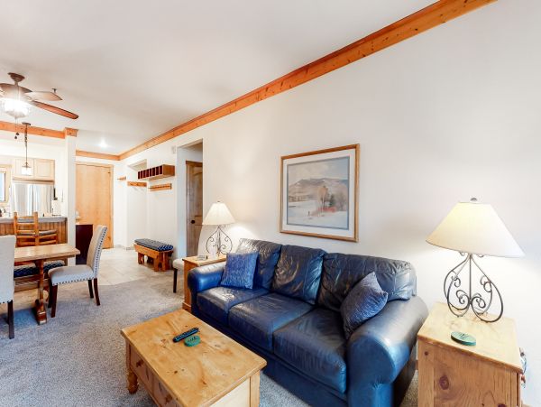 Steamboat Springs Home 1020096