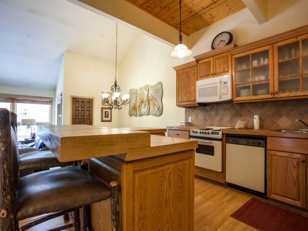 Steamboat Springs Home 1020097