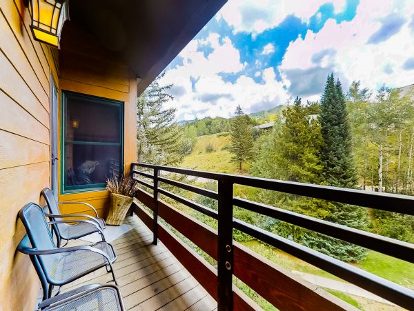 Steamboat Springs Home 1020098