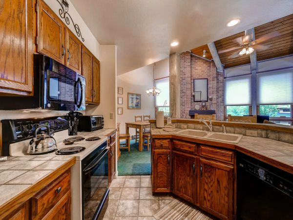 Steamboat Springs Home 1020099