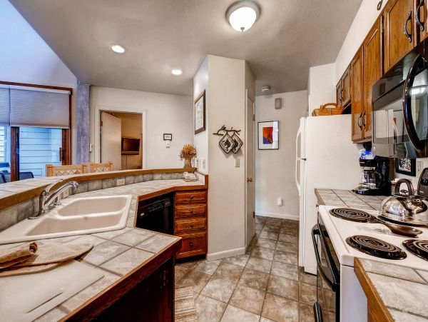 Steamboat Springs Home 1020099