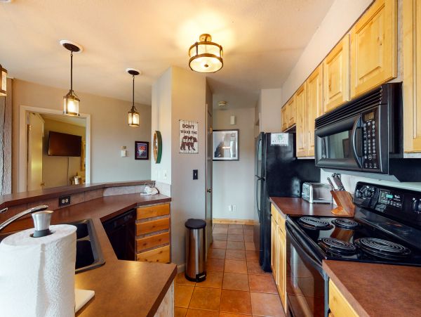 Steamboat Springs Home 1020103